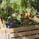 Как выбрать натуральные удобрения для различных типов почвы?