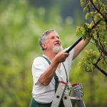 Роль укрывных материалов в борьбе с сорняками